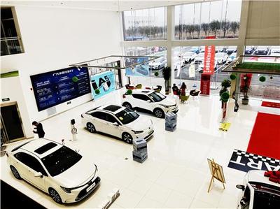 天津中升汽车销售服务