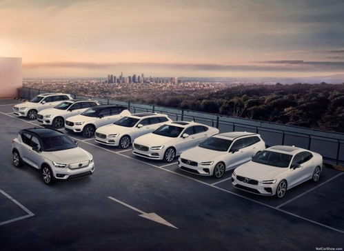 沃尔沃11月销量增长24.5%，库存深度不足一个月再创新纪录